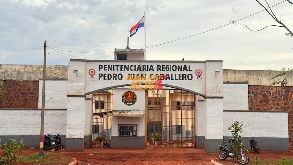 Relacionada