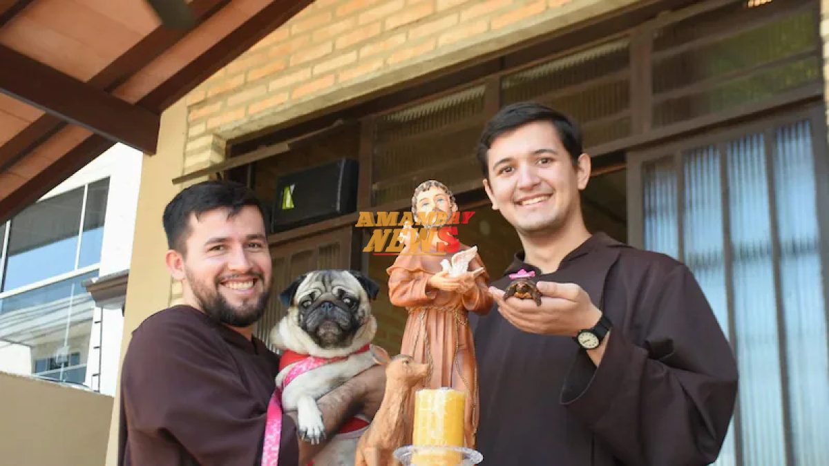 Relacionada