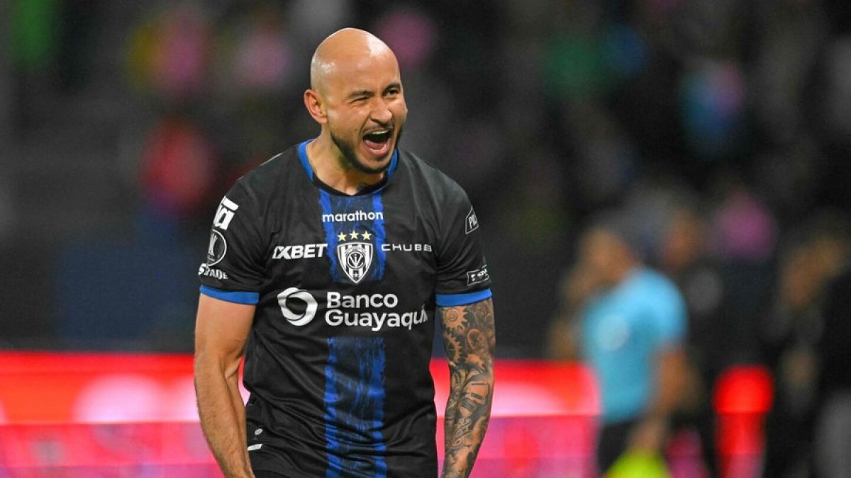 Relacionada