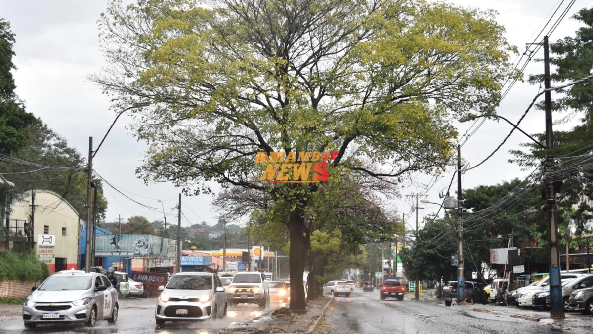 Relacionada