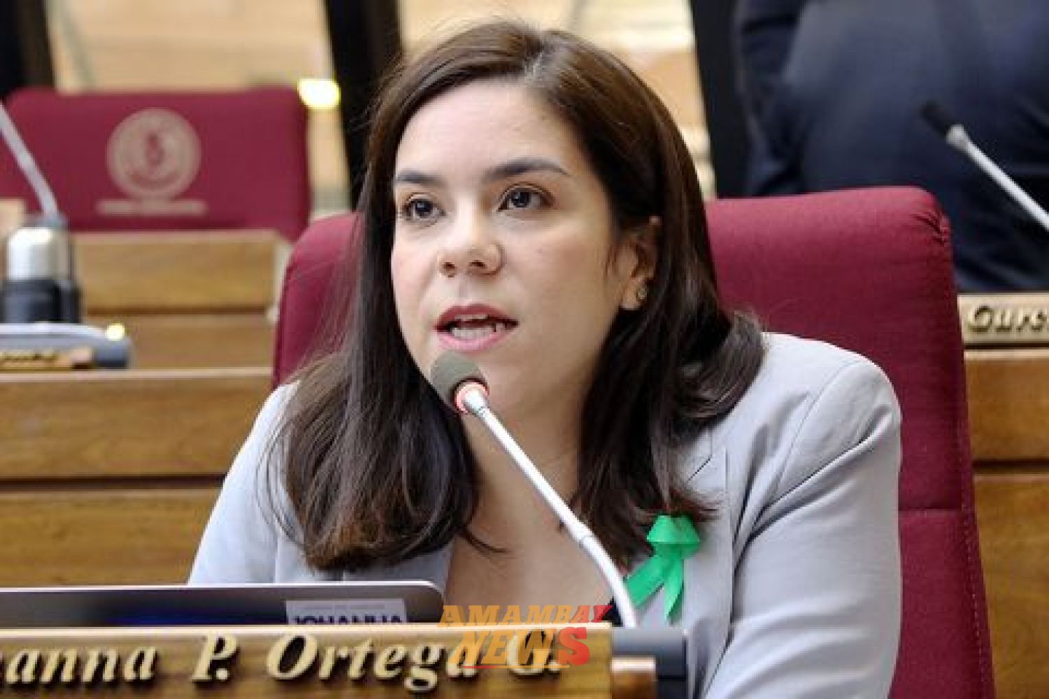 Diputada Johanna Ortega arremete contra Santi: "Parece un chetito caprichoso"
