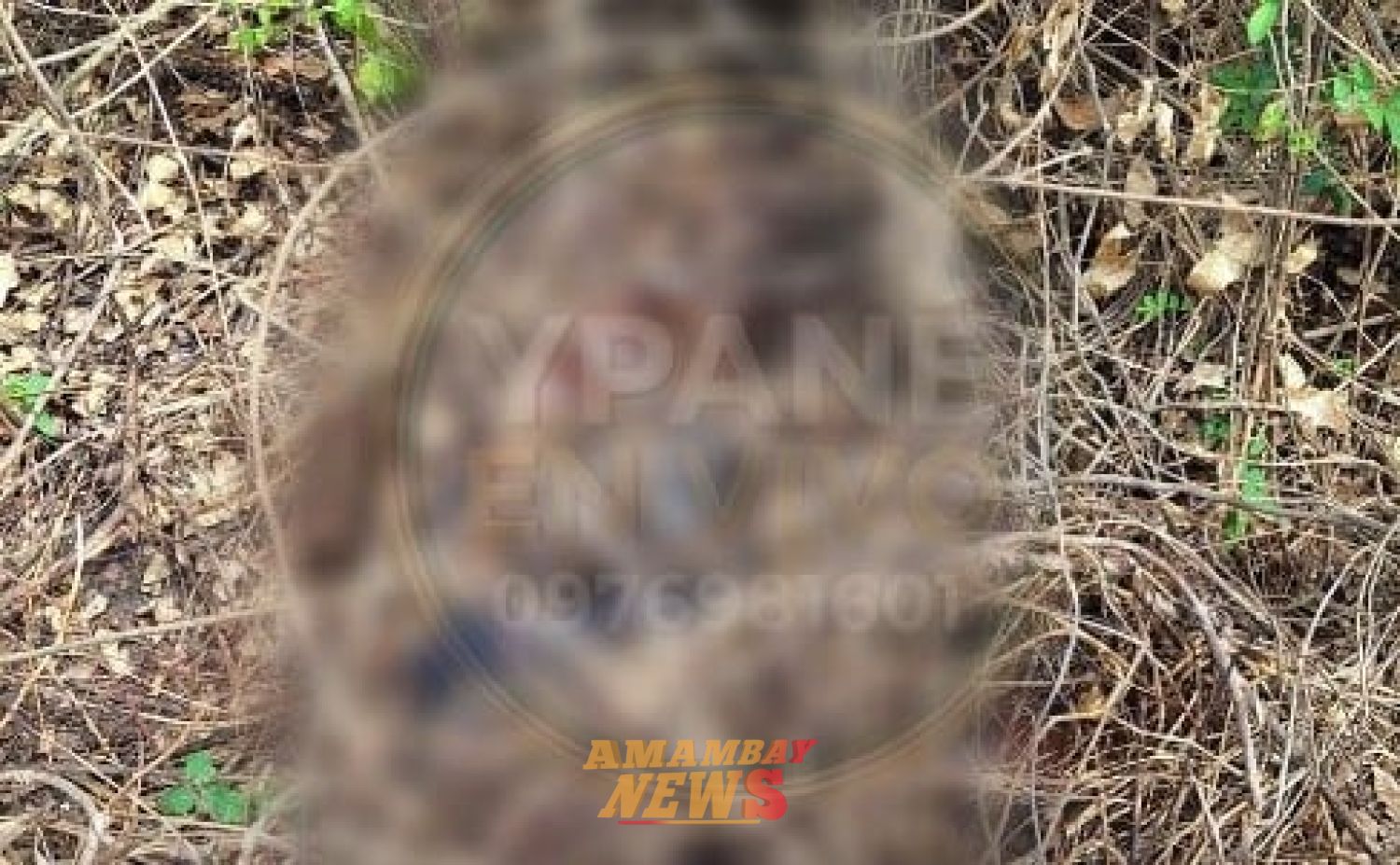 Hallan cuerpo sin vida a orillas del río Paraguay en Ypané