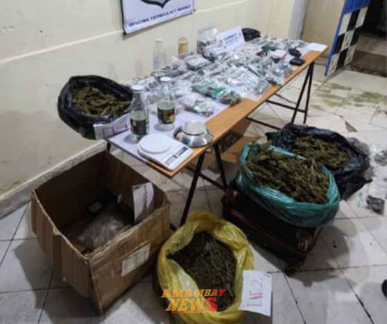 Fiscalía incautó casi nueve kilos de marihuana genética durante operativo en Lambaré