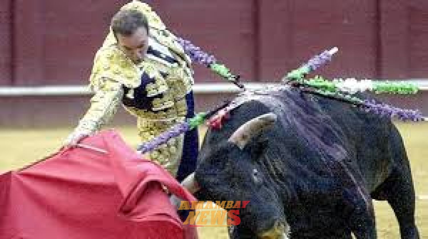 Muere corneado un extorero español cuando preparaba una corrida en Málaga