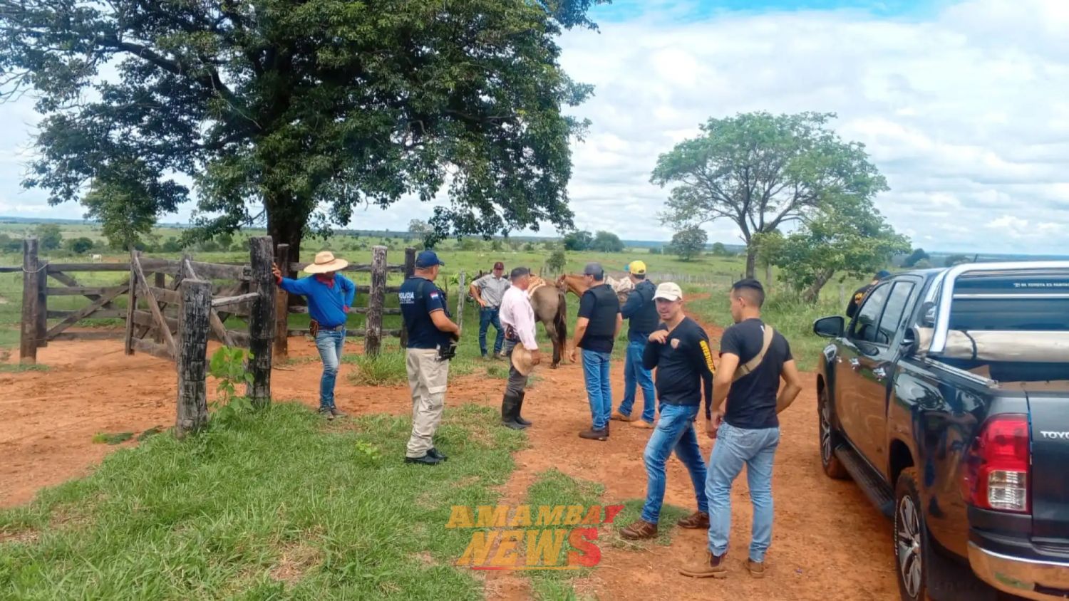 Roban 21 toros Nelore en un establecimiento rural de Yby Ya’u