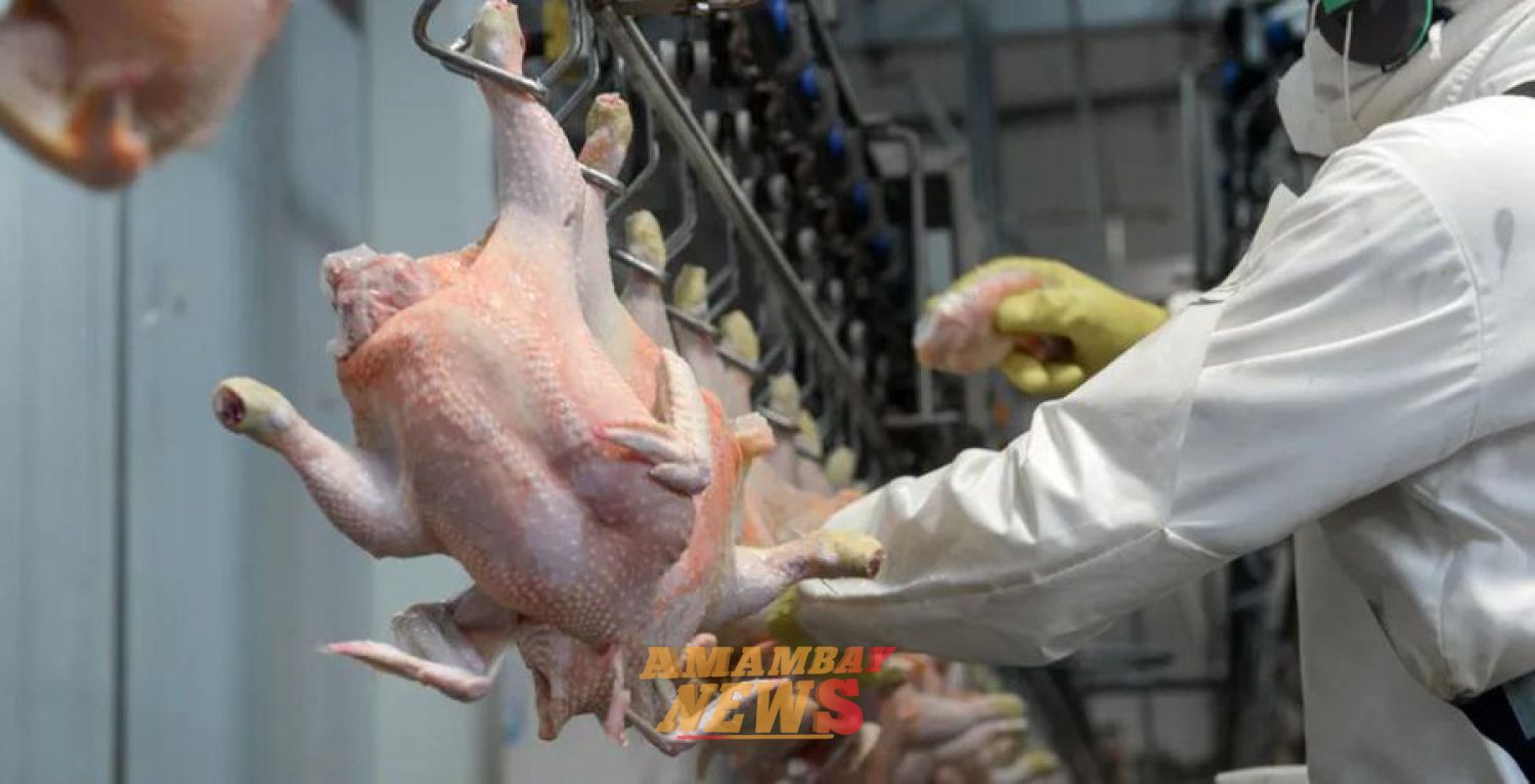 Carne aviar paraguaya llega a 11 mercados con ingresos que llegaron a los USD 1,8 millones a febrero