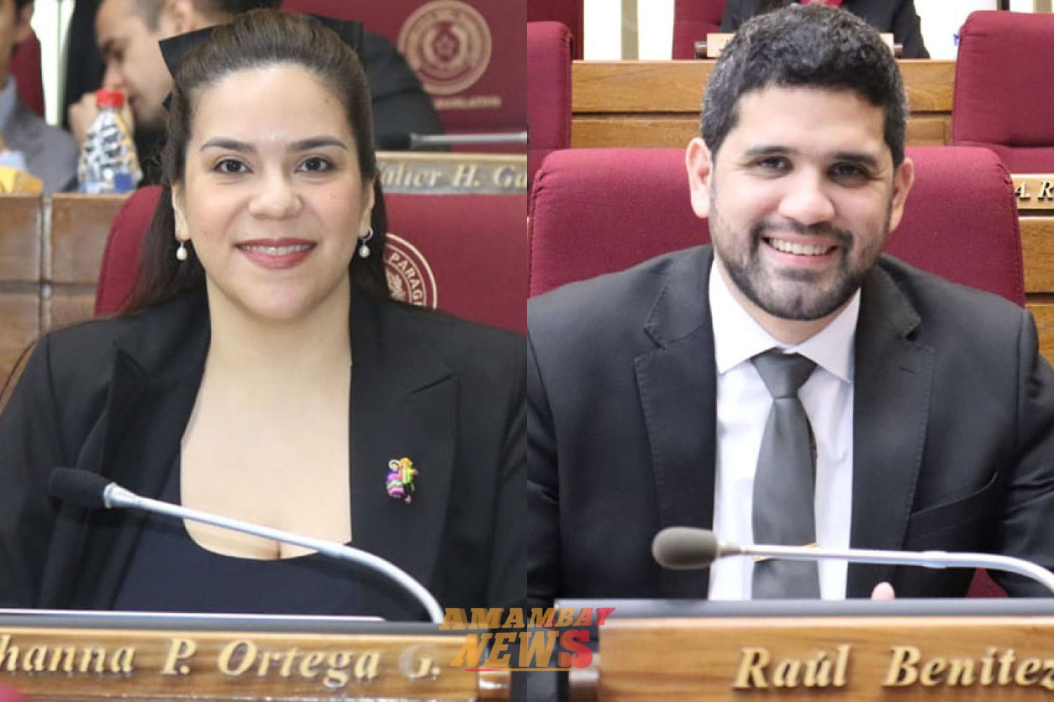 Impulsan pedido de informes a la Caja de Jubilaciones del Parlamento