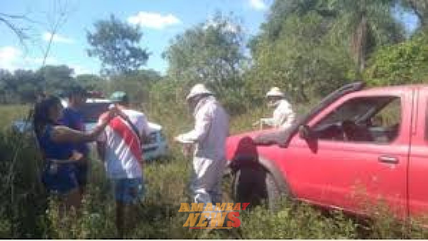 Hombre muere tras ataque de abejas en Pilar