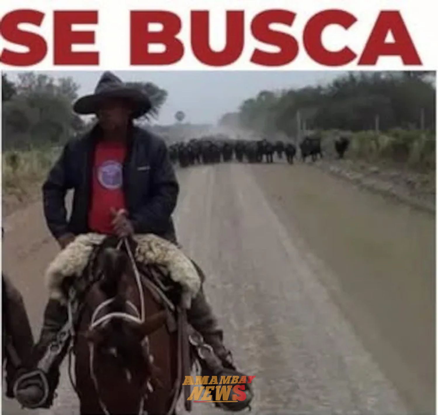 Buscan a un hombre desaparecido en Alto Paraguay
