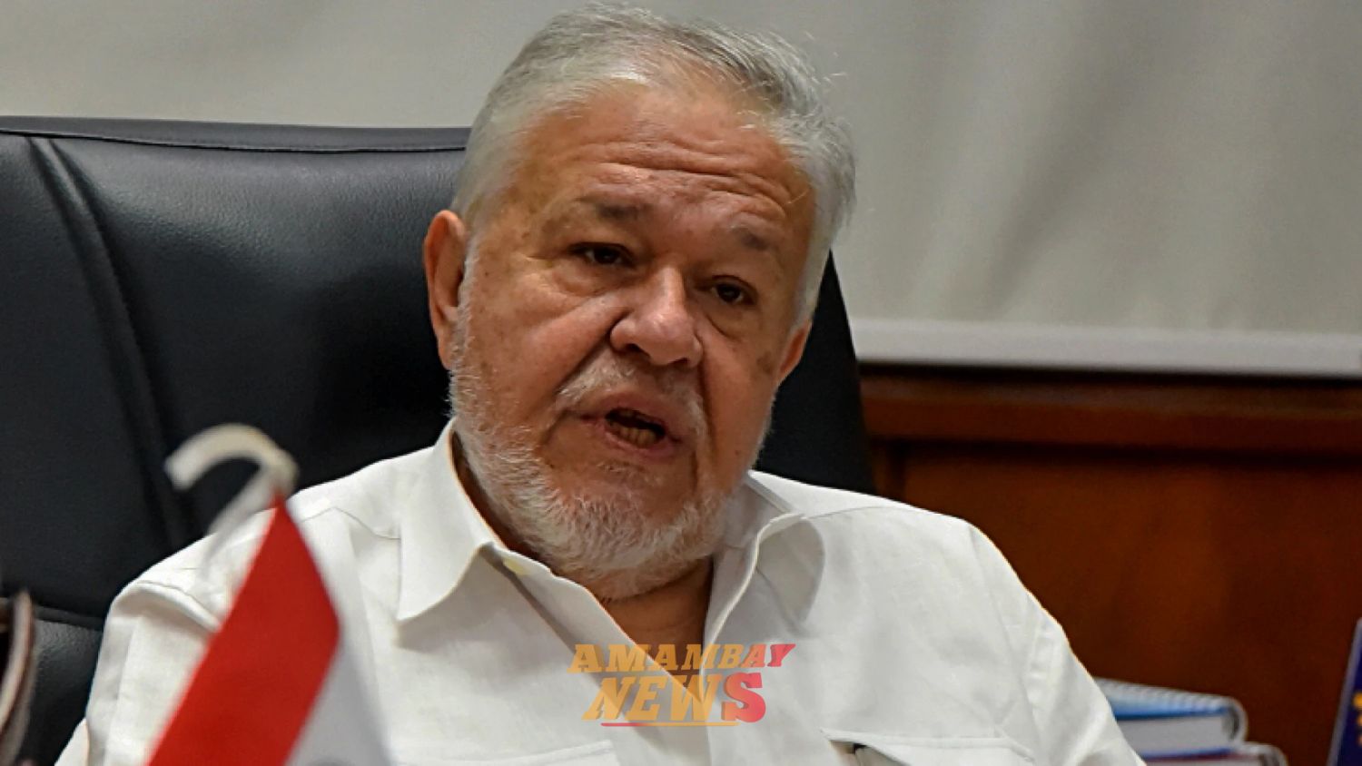 Senadores exigen salida del titular del IPS y responsabilizan a Peña