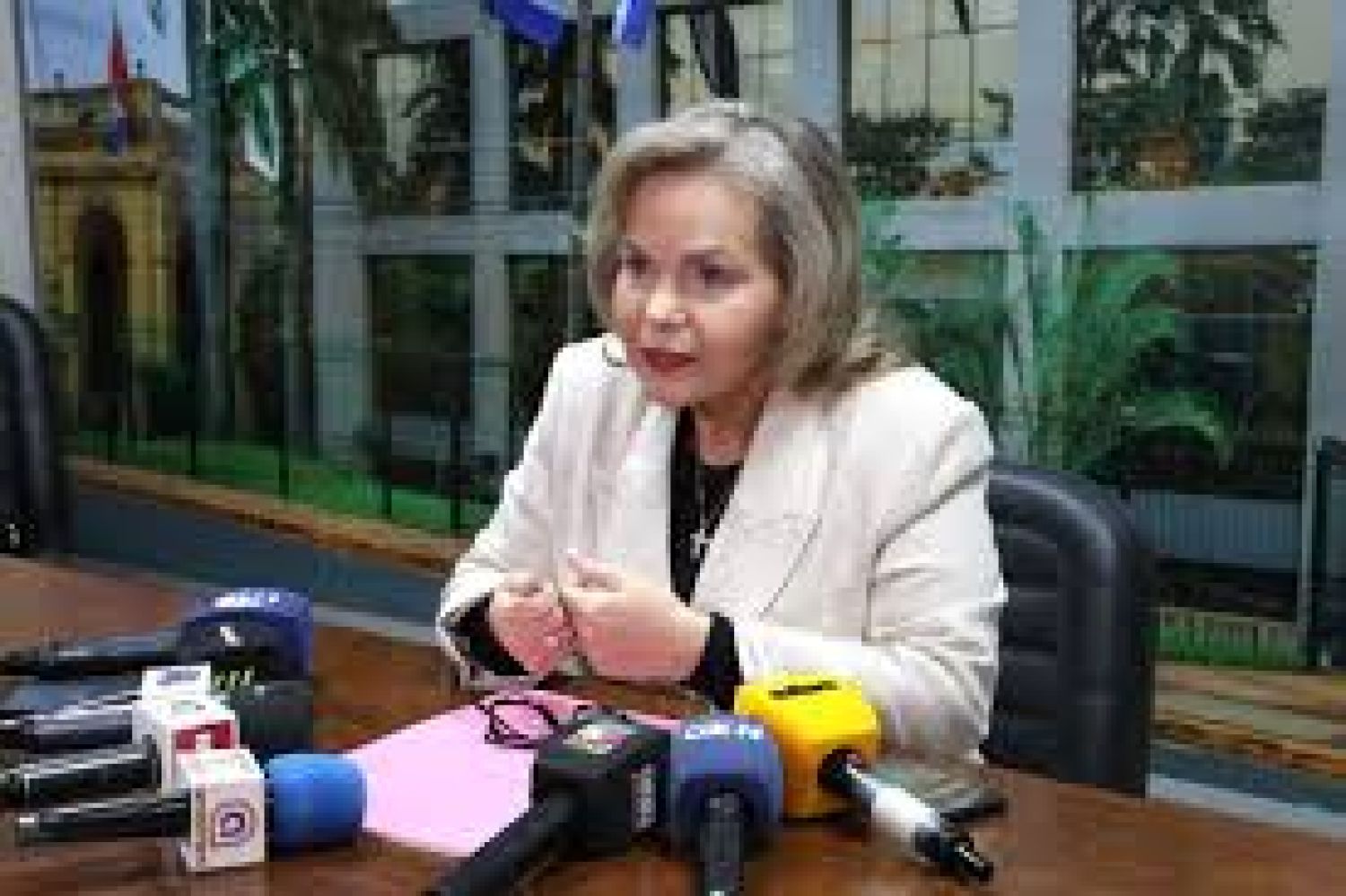 Samaniego: “Los mayores ataques a Peña vienen de su propio sector”