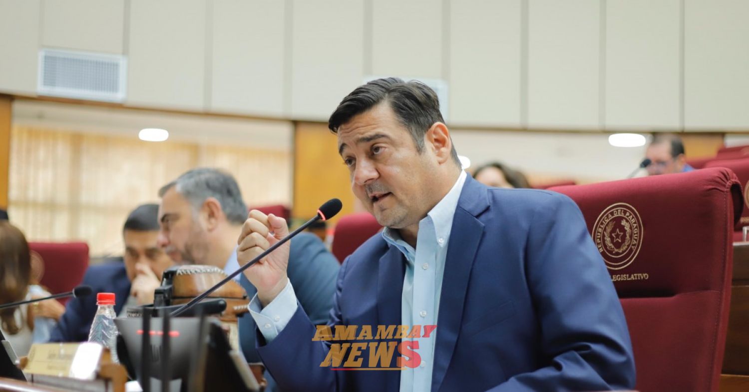 Cómo es el sistema de jubilación universal que propone Buzarquis como alternativa a la reforma de Peña
