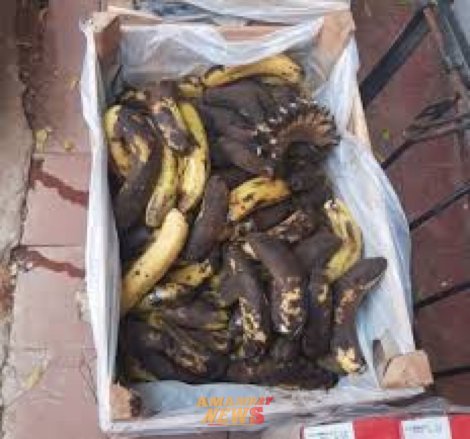 Hambre Cero: bananas podridas y tomates en falta en escuelas de Central y Villa Hayes
