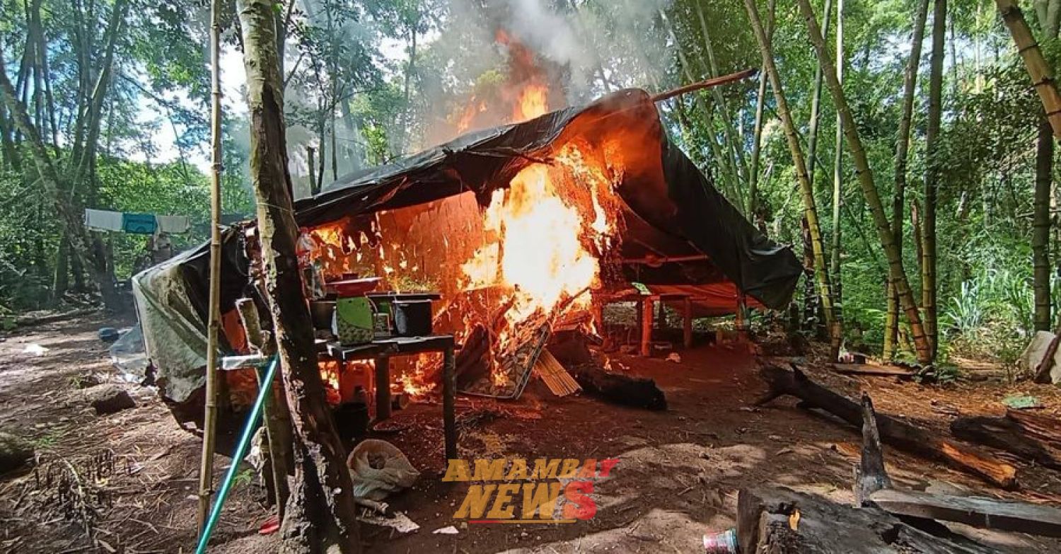 «Operación Frontera Limpia» de la Senad elimina 24 toneladas de marihuana en Zanja Pytã