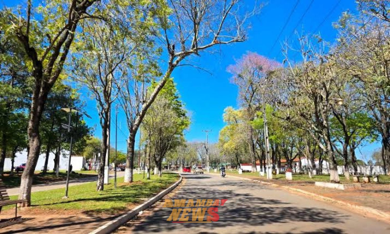 Viernes caluroso, con mucha humedad y tormentas eléctricas