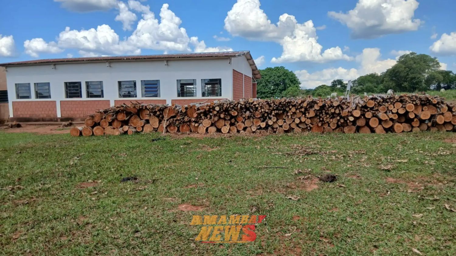 Indígenas denuncian tala masiva en territorio ancestral en Amambay