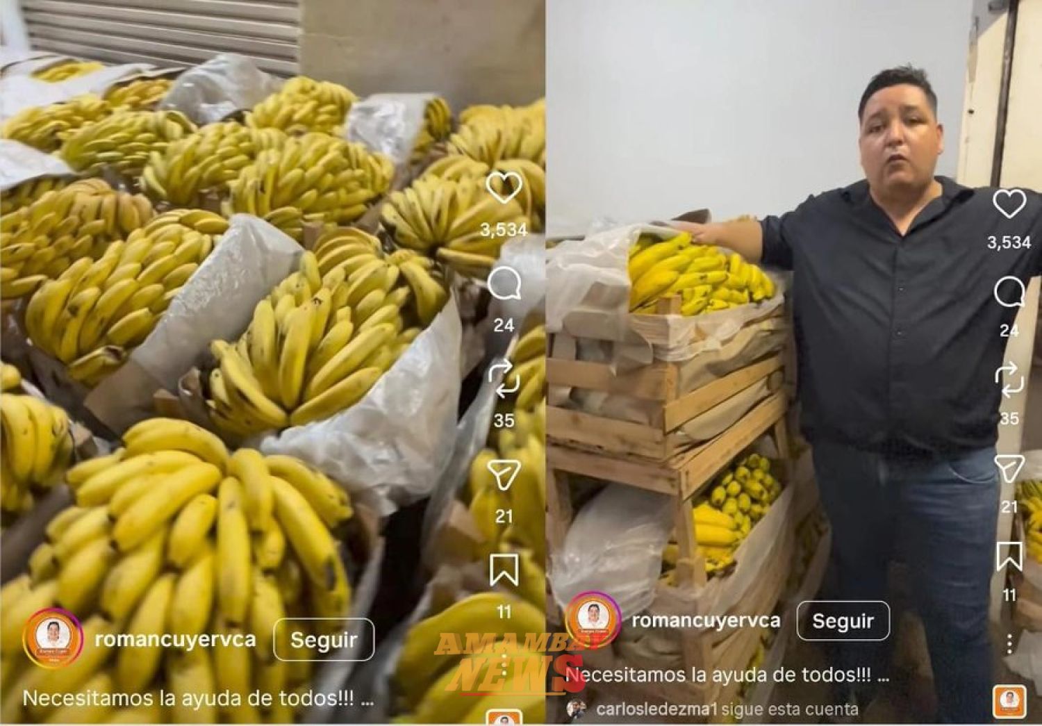 Rechazan 400 cajas de banana destinadas a Hambre Cero y productores denuncian millonaria pérdida