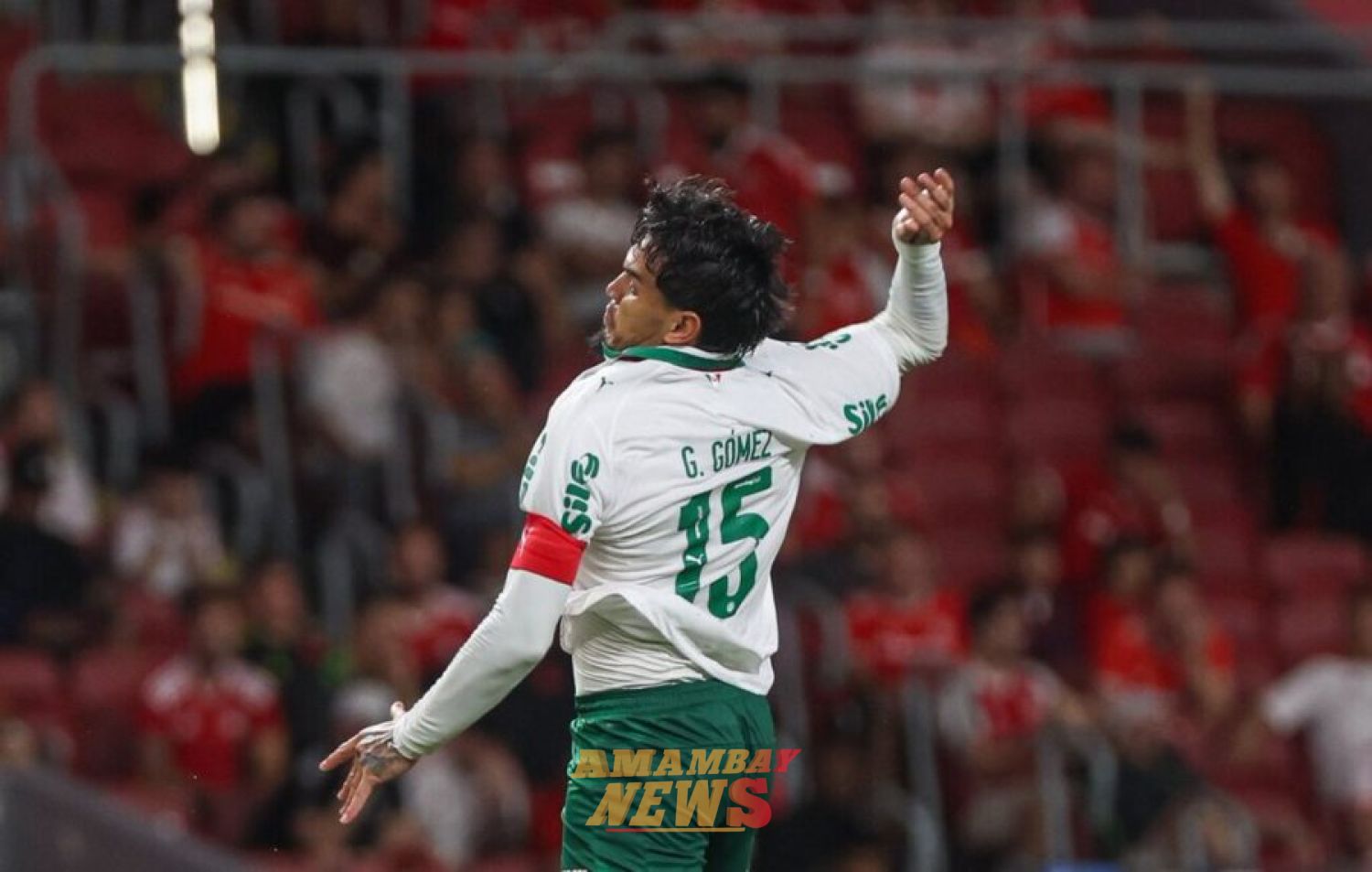 ¡Gómez festeja y Palmeiras toma el mando del Brasileirao!