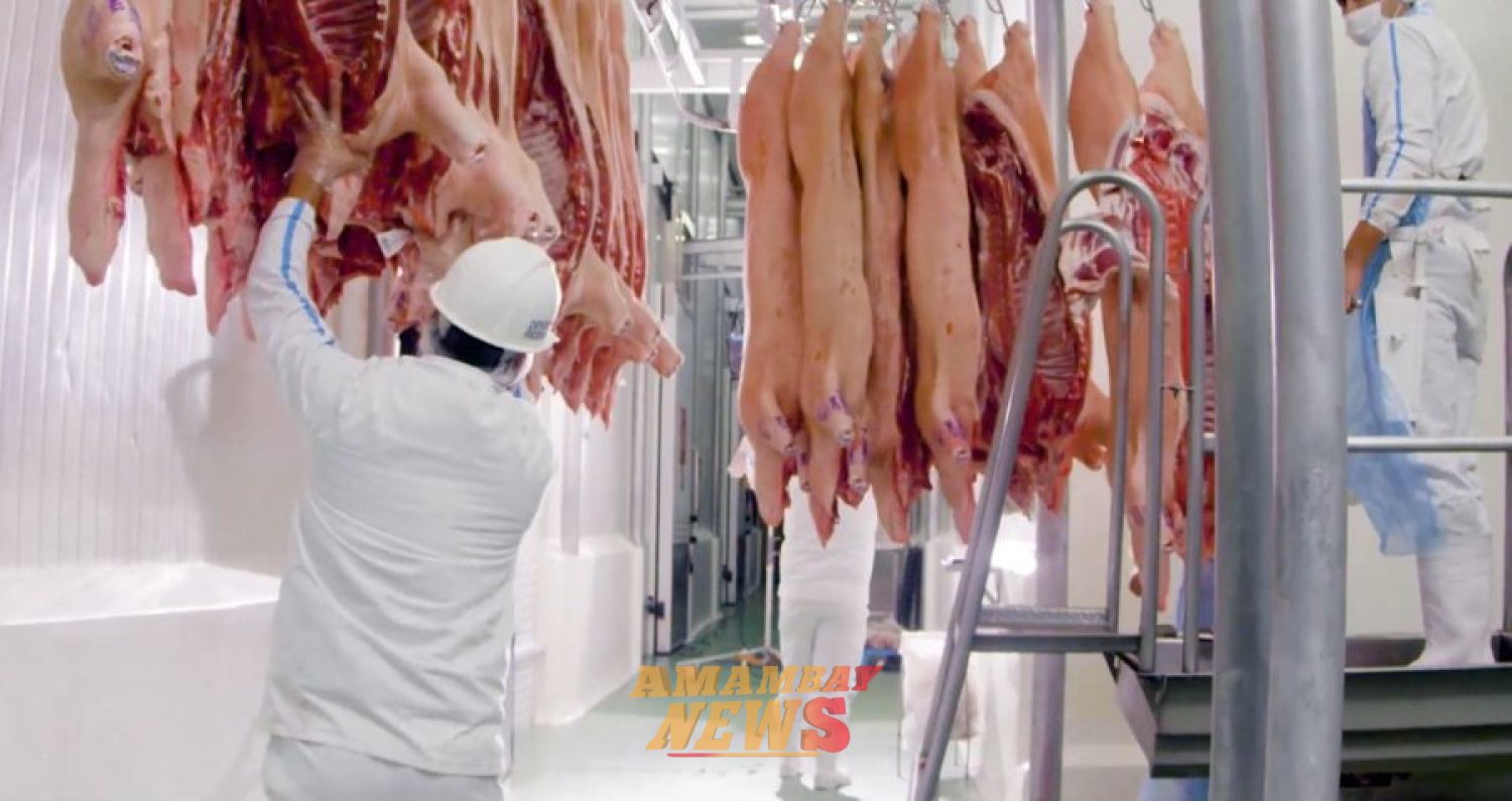 Habilitan a frigoríficos nacionales para exportar menudencias porcinas frescas a la Argentina