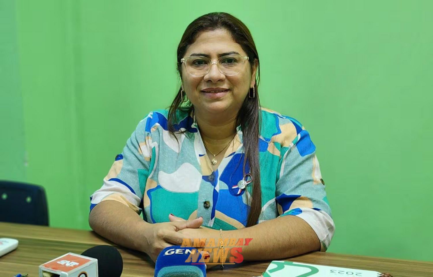 Contraloría ordena verificar patrimonio de la gobernadora de Concepción, Liz Meza