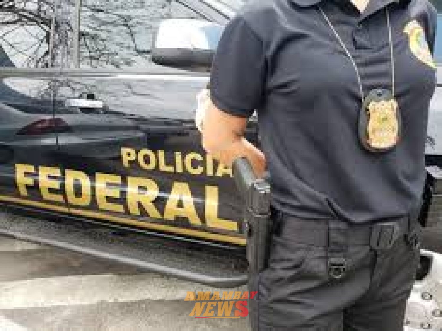 Paraguayo detenido por utilizar documentos falsos para renovar su domicilio en Ponta Porã
