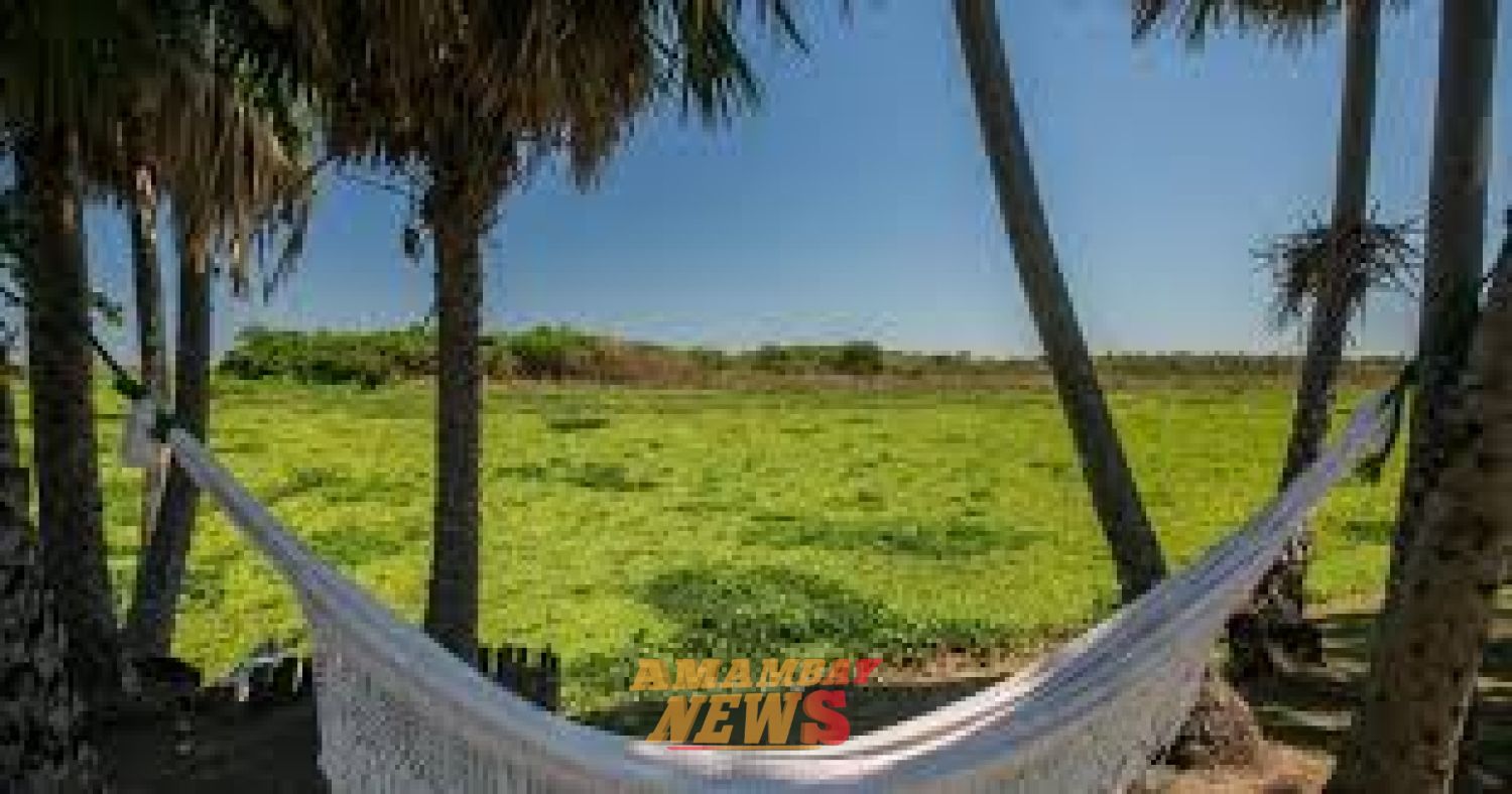 Marzo inicia con máximas de hasta 38°C y posibles chaparrones en el Chaco