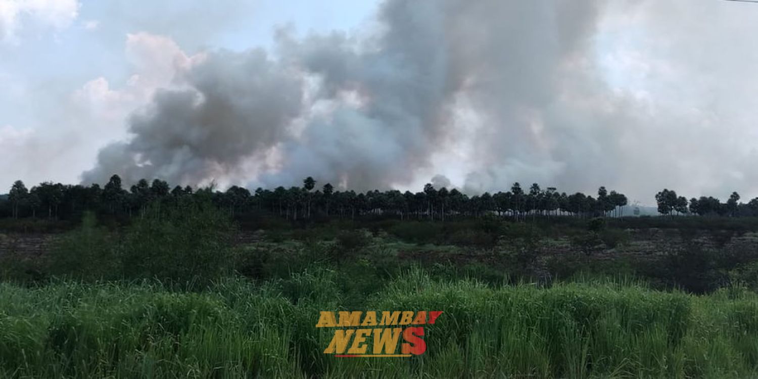 Incendio forestal afecta estancia en Presidente Hayes