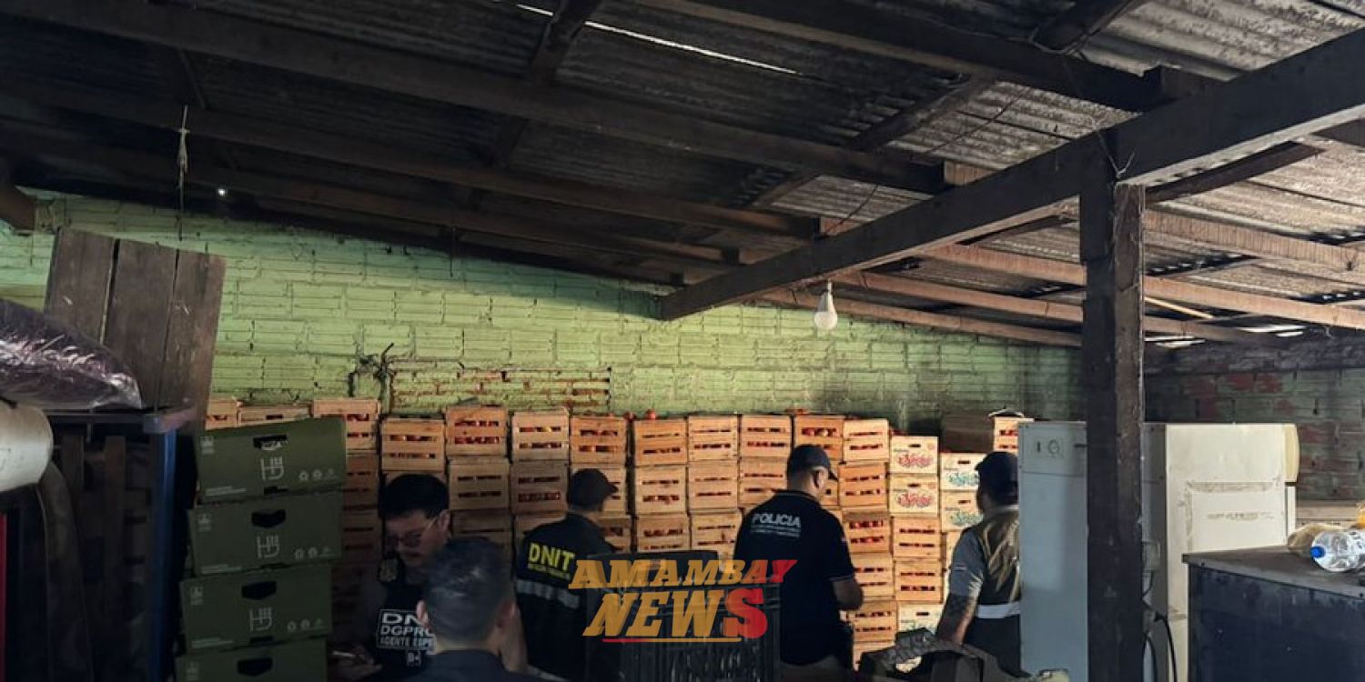 Mercado de Abasto: incautan casi 6 toneladas de tomate de contrabando