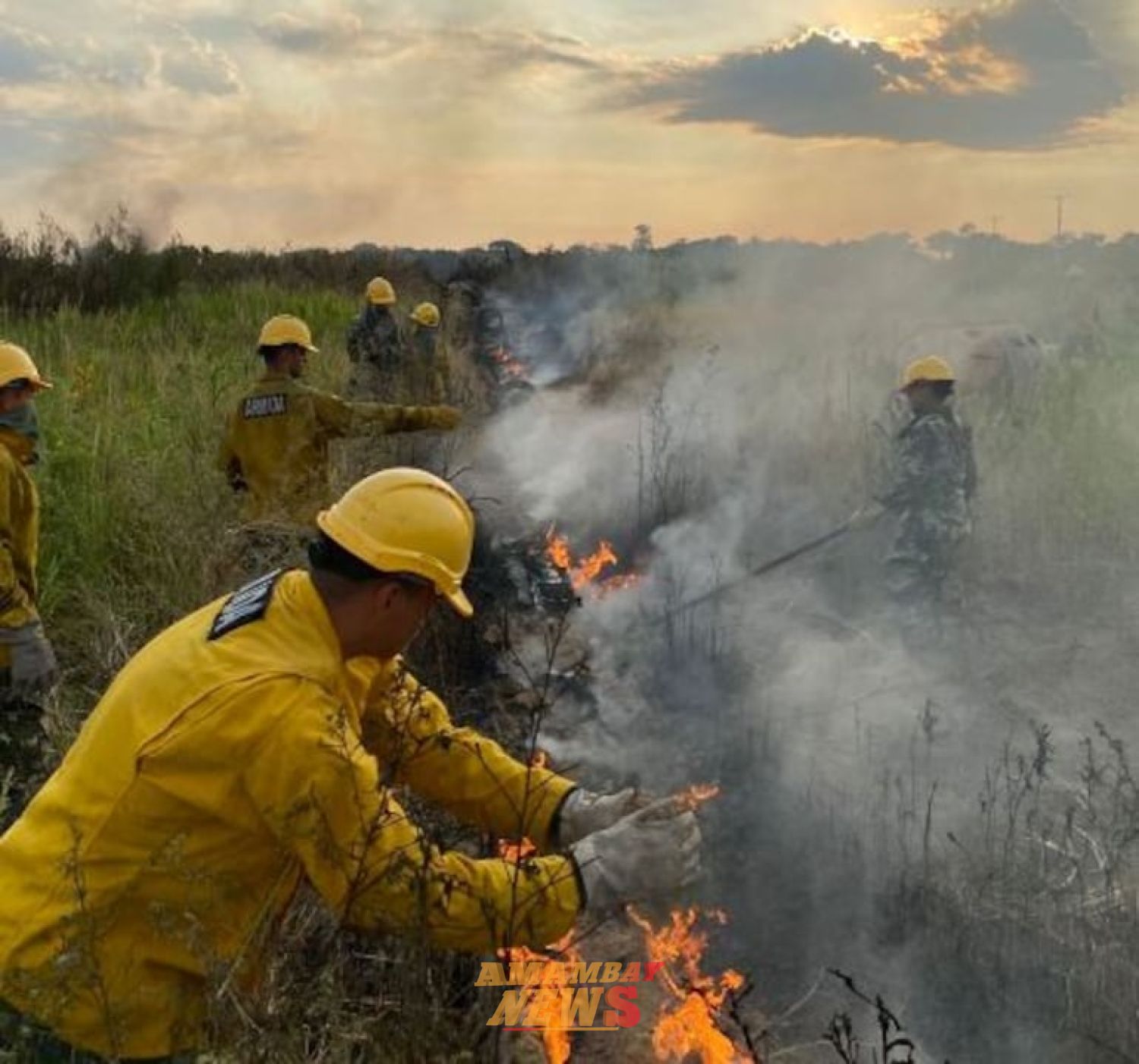 Incendio forestal en isla San Francisco: bomberos y militares trabajan para sofocar el fuego