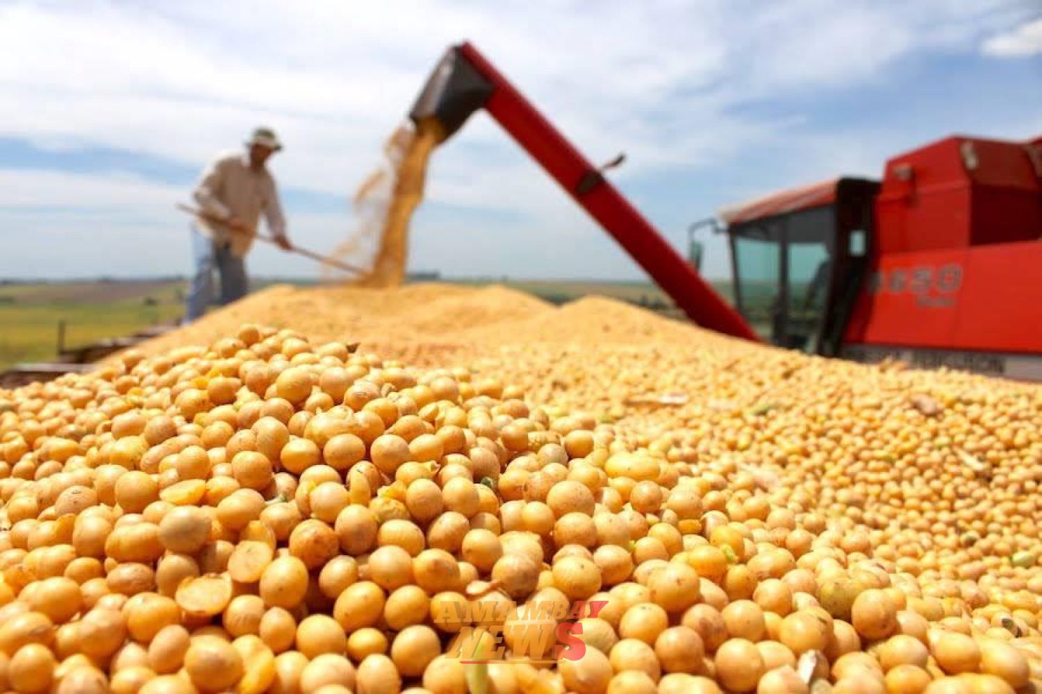 Zafra histórica de la soja: Paraguay rumbo a nuevo récord